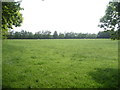 Grazing near Partridge Close