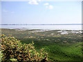 SJ4282 : The Mersey Estuary at Speke by David Dixon