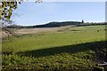 Pasture above Upper Strowan