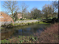 Pond by Thurgarton Hall