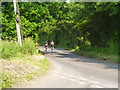 Cycling on Essex lanes