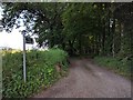 Public footpath on the edge of woodland