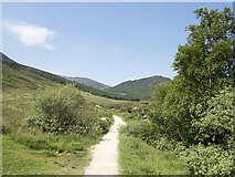 NR9846 : Path, North Glen Sannox by William Starkey