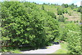 Rough track across tunnel to site of former mine, Markham