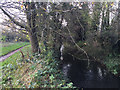 SP3780 : River Sowe and the Sowe Valley footpath, Walsgrave, Coventry by Robin Stott