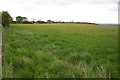 Arable field NE of Bellerby