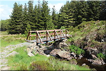 NX4094 : Footbridge over the Water of Girvan by Billy McCrorie