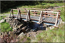 NX4094 : Bridge over the Water of Girvan by Billy McCrorie