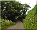 Minor road on Heydon Common