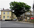 Dominant tree on a Redruth corner