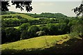 Teign valley