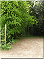 Footpath to the A14