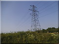 Pylon by Church Road, Farley Hill