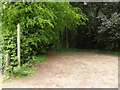 Footpath to the A14