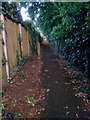 Northbourne: footpath E41 towards Hill View Road