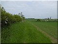 NZ0673 : Field edge near Fenwick by Richard Webb