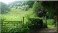 Footpath near Pwll-hwyaid