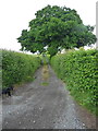 Access road to Rydal Mount