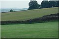 Dry stone walls