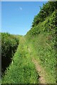 Track near Idestone Farm