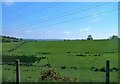 Pasture land east of the Mowhan Road