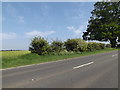 TL8685 : A134 Mundford Road, Thetford by Geographer