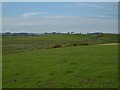 NY9883 : Farmland near Kirkwhelpington by Richard Webb