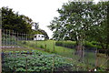 Allotments at Bran End