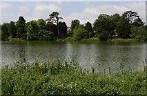ST6416 : Sherborne Castle: Looking across the lake to the just visible Old Castle by Michael Garlick