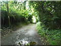 Track off Waltham Road, Petham