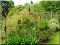 "Cow Parsley" by Simon Hempsell