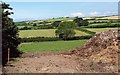 Farmland near Burleigh Farm