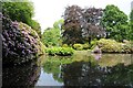 Lake at Wightwick Manor