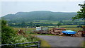 Wood yard near Great Triley