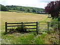 Field at Edington