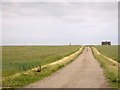 The road to East Ware Farm