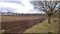 Looking towards Seven Mile Wood