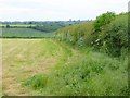 Field boundary near Alkerton