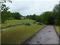 Picnic Tables in the Country Park