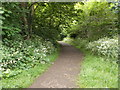 Cycle Way - Barleyfields Road