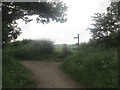 Bridleway/footpath junction north of Ness