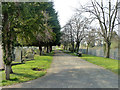 Path, Acton Cemetery