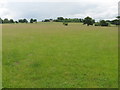 View towards Earnshill House