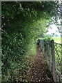 Footpath to Smeeton Westerby