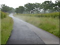 SU0087 : Minor road near Braydon Wood by Vieve Forward