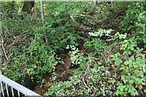ST1797 : Woodland stream,  Sirhowy Valley Walk, Woodfieldside by M J Roscoe