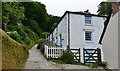 Durgan: The path leading to Glendurgan Garden