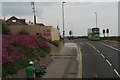 Valerian flowering, and  building site, A259 Rottingdean