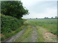 Farm track (footpath) off Pinfold Lane