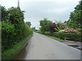 Pinfold Lane